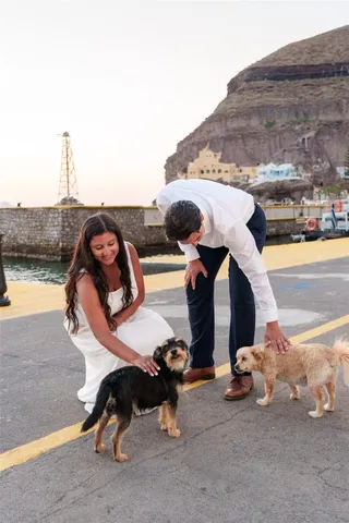 Santorini old port proposal dogs